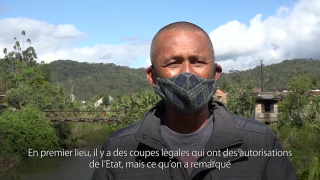 Lémuriens : de la déforestation à la disparition - Vidéo ePOP