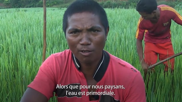 Pas de riz sans pluie - Vidéo ePOP