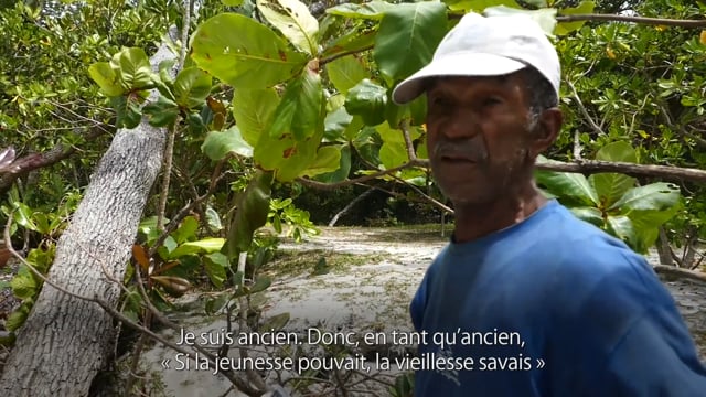 La conscience des anciens - Vidéo ePOP