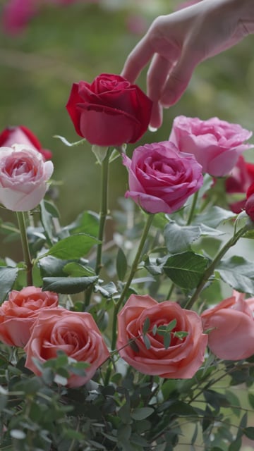 romántico Boda celebracion con Fresco flor ramo de flores y rosado Rosa  pétalos generado por ai 26448984 Foto de stock en Vecteezy