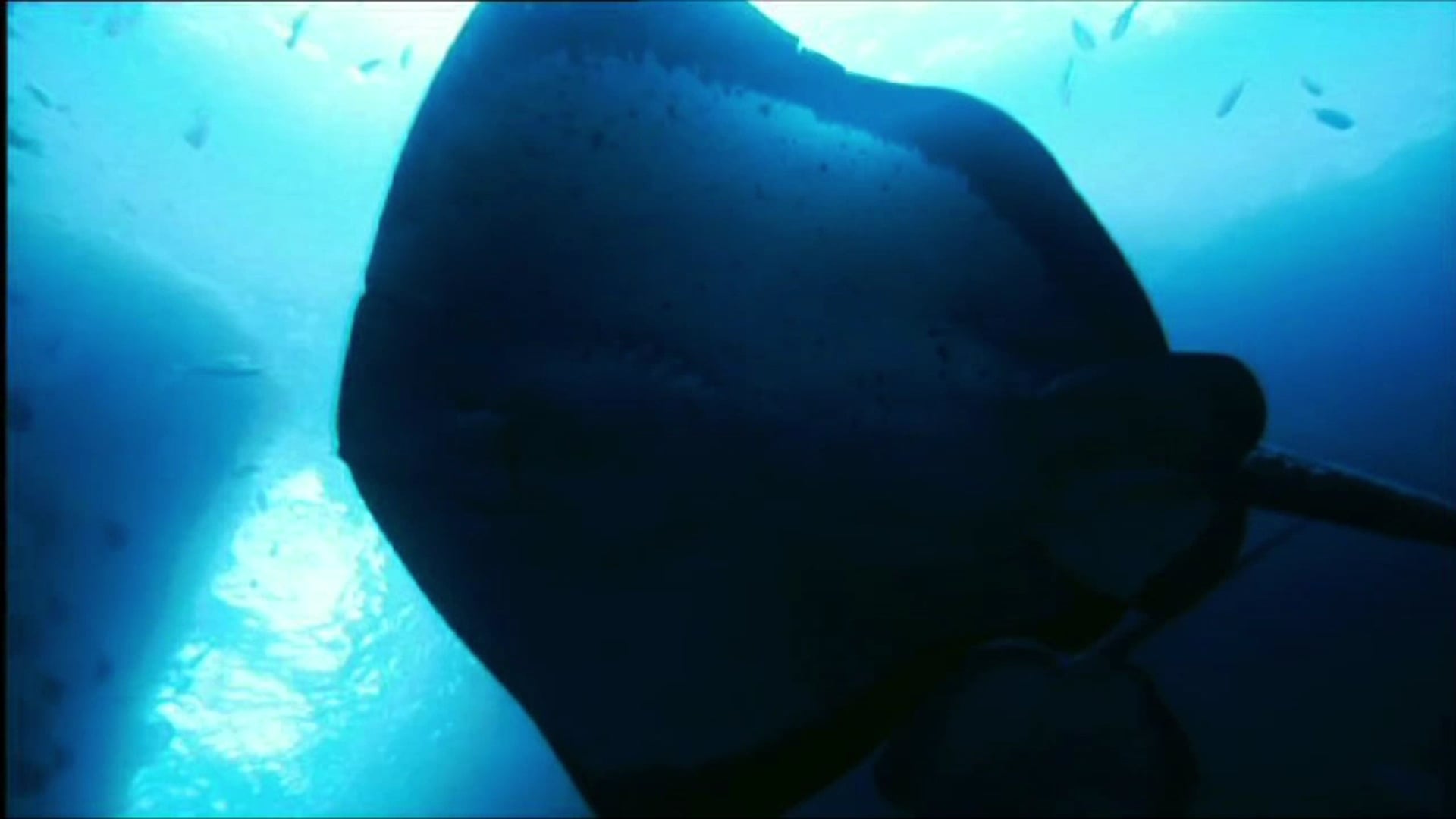 Ocean theme
