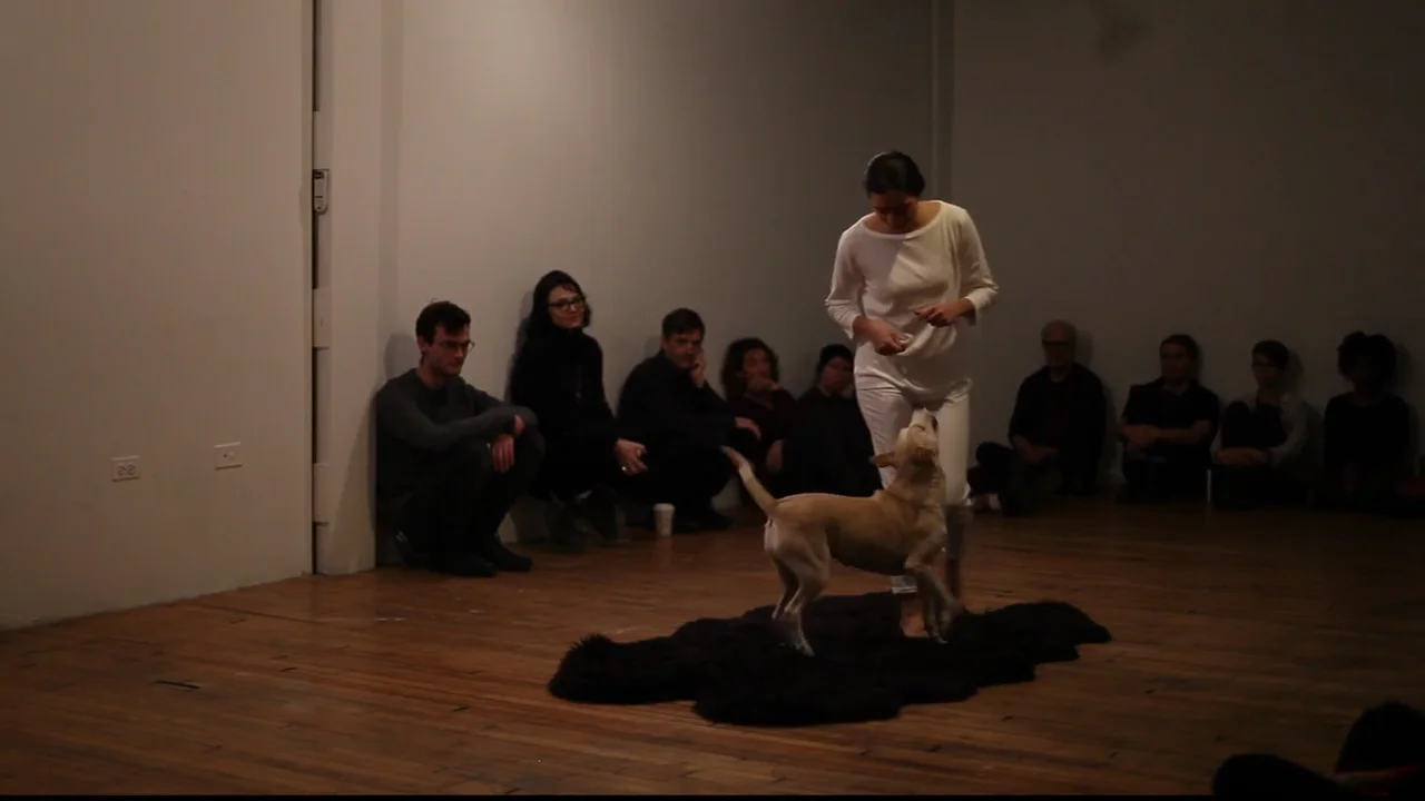 Play on Vimeo
