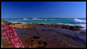 Tom Francis - Customer Success Story