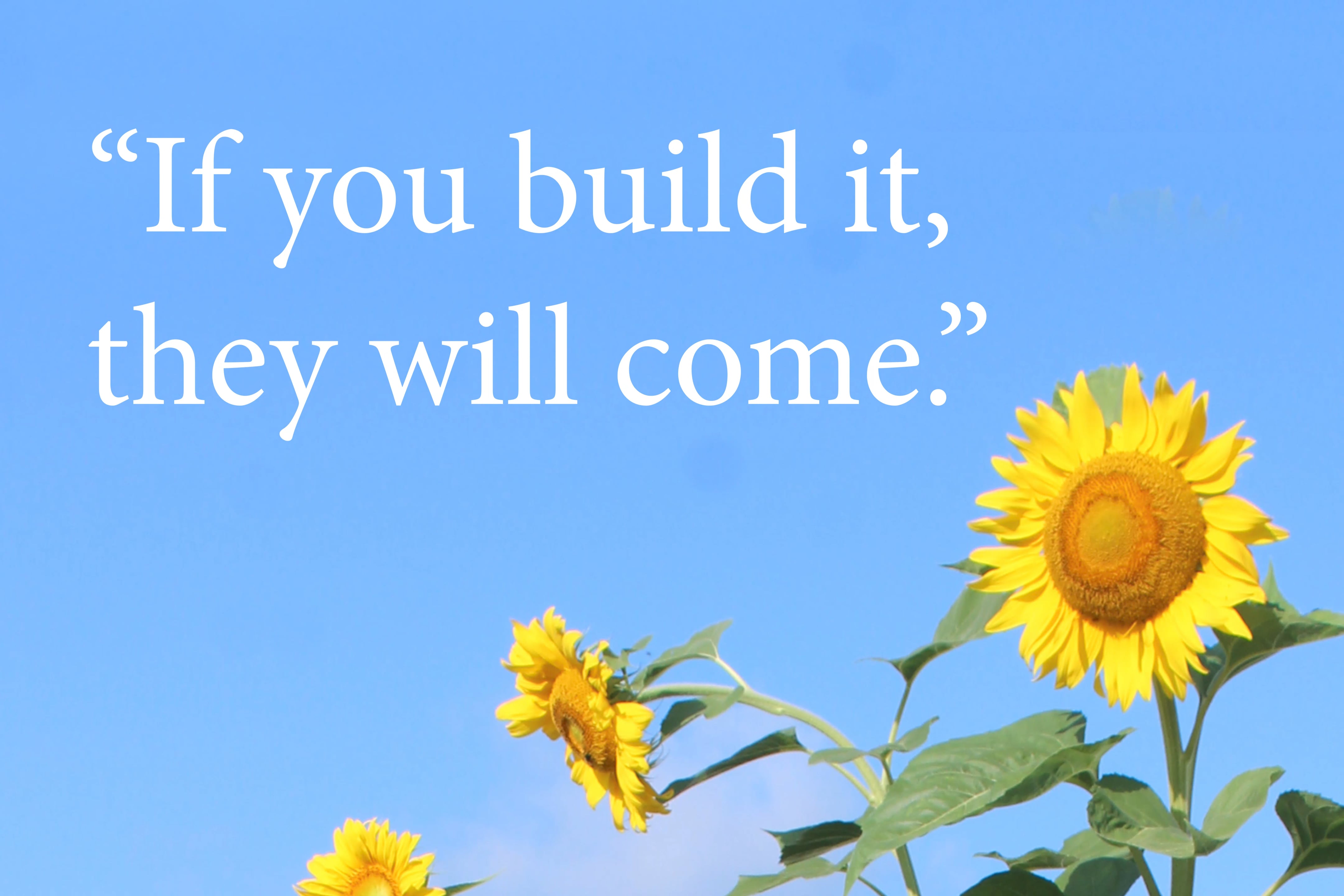 1222028617-7f6898b13d136827f75afa2ed2879ed4a518d140752d13a3aed955cc3a6971eb-d