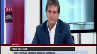 Entrevista a Pablo de la Flor en Canal N