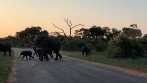 Related Embedded Video Item Thumbnail