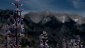 Soul Sister Retreat 2017 Overview