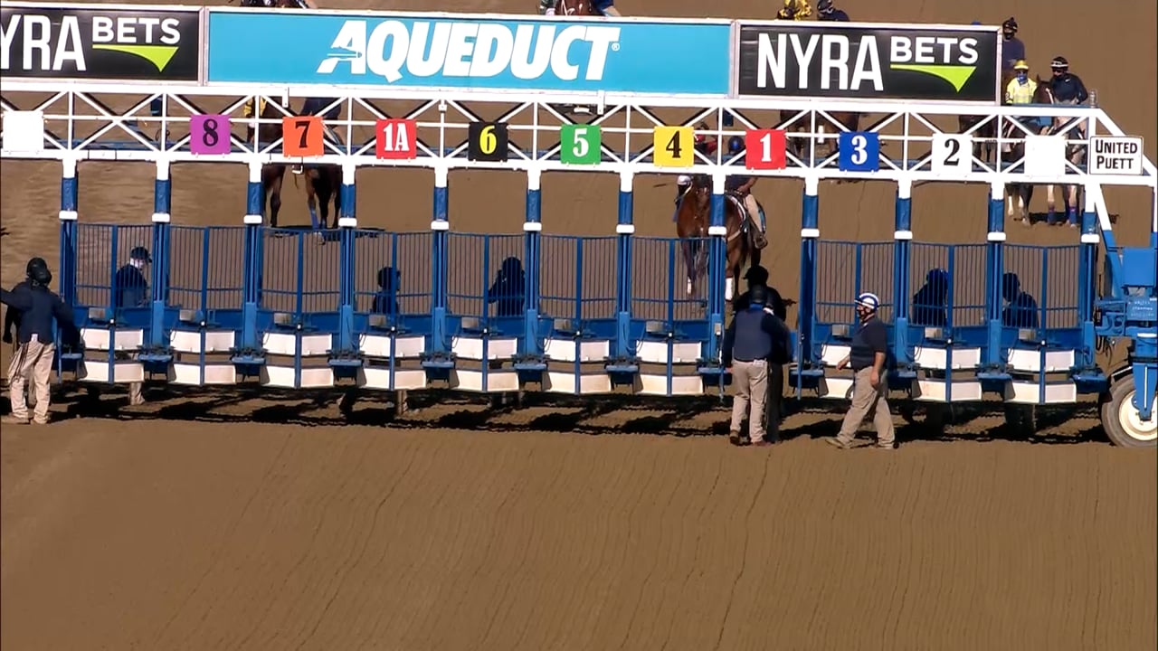 Known Agenda | MdSpWt 11/8/20 | Aqueduct