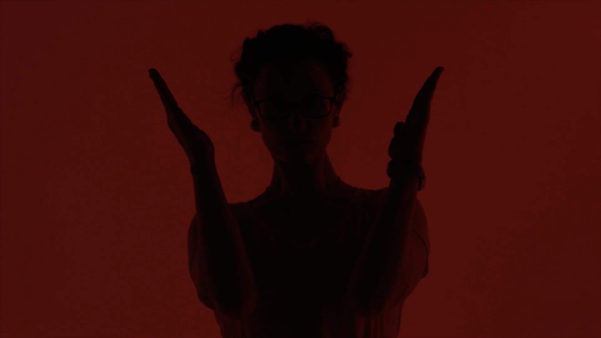 The Evagelists: Reenlightened...Again