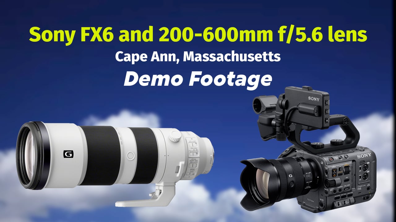 Sony FX6: Demo footage with 200-600mm - Cape Ann, MA