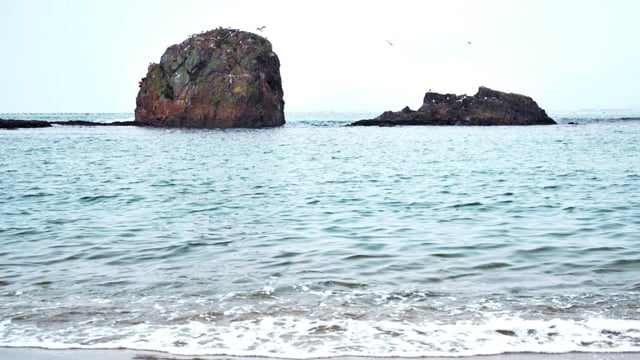 MOVIE「Minamisanriku,Miyagi Prefecture」