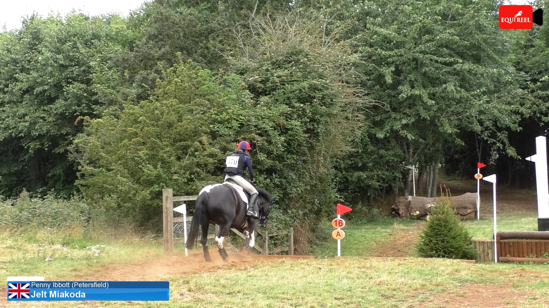 EQUIREEL 370 Penny Ibbott (Petersfield) & Jelt Miakoda at THE PONY CLUB