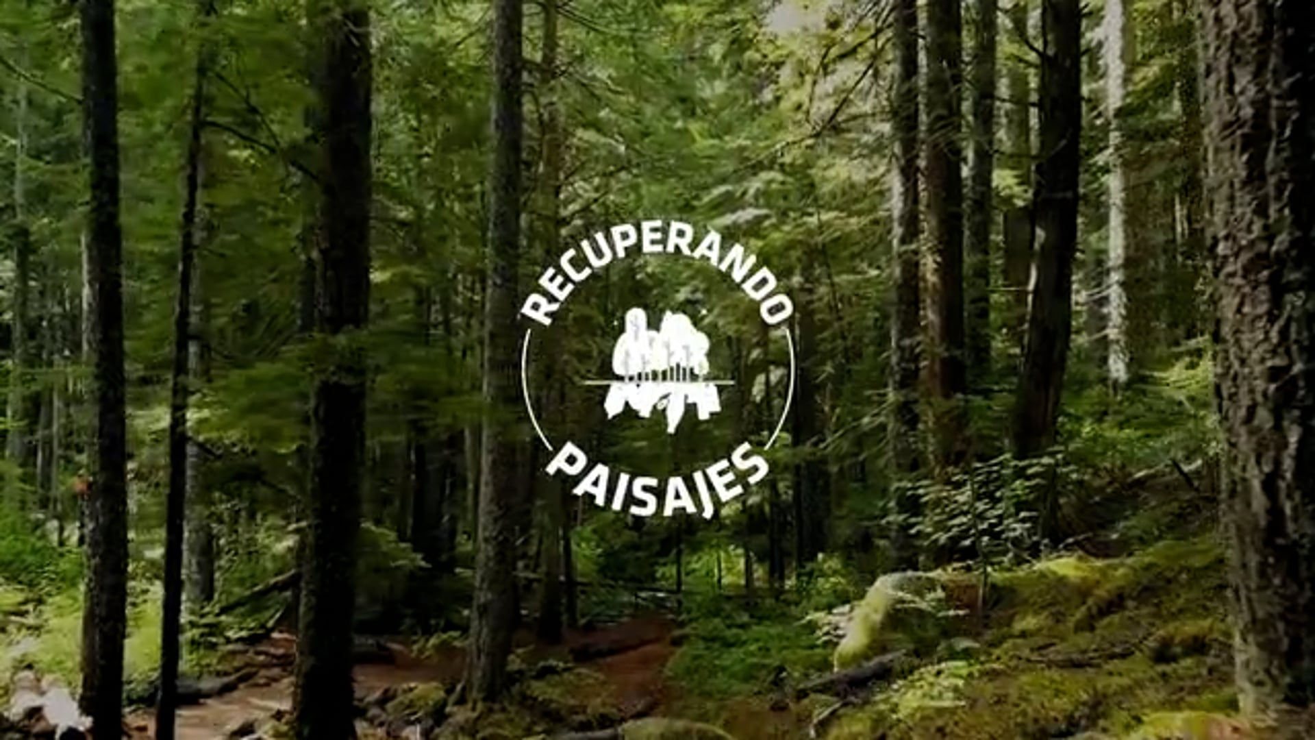 MAPFRE RECUPERANDO PAISAJES MASTER .mp4