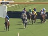 Colonial - August 23 - Race 1
