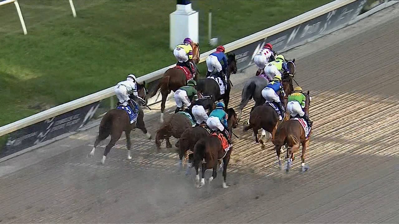 Known Agenda | Florida Derby-G1 2021