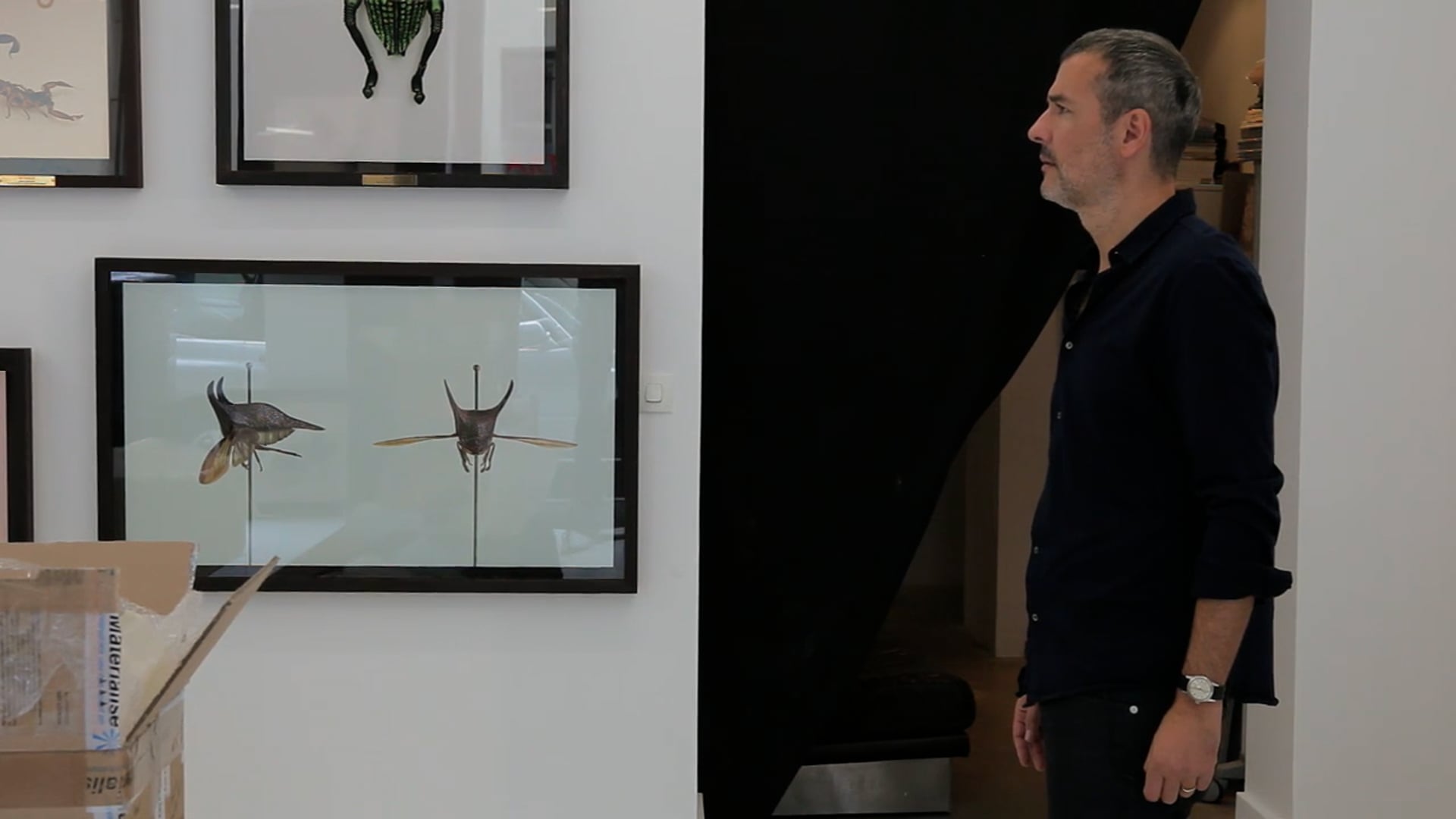 Vincent Fournier - Post Natural History | La Galerie
