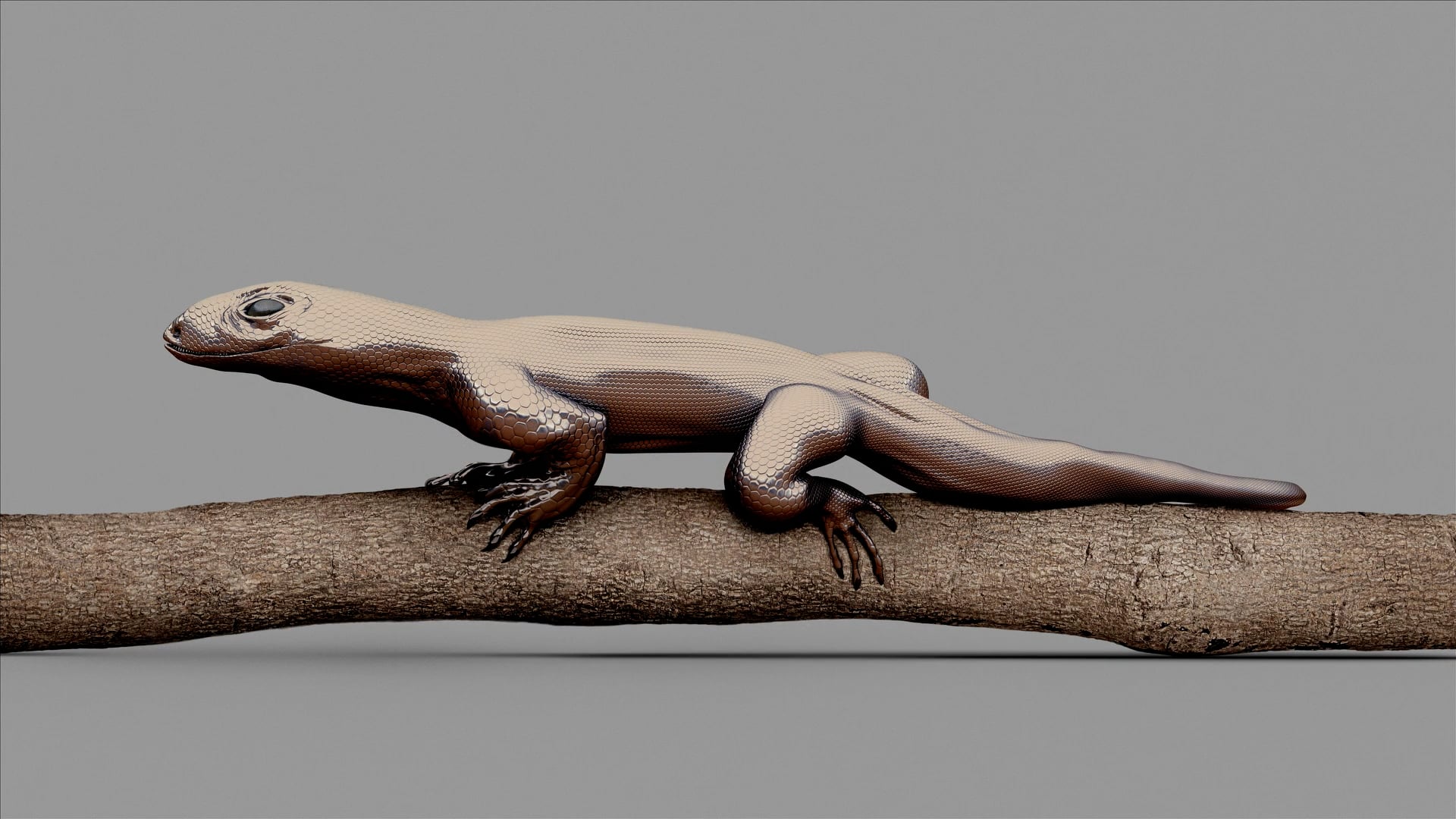 Vincent Fournier - Post Natural History: Archeology of The Future | La Galerie
