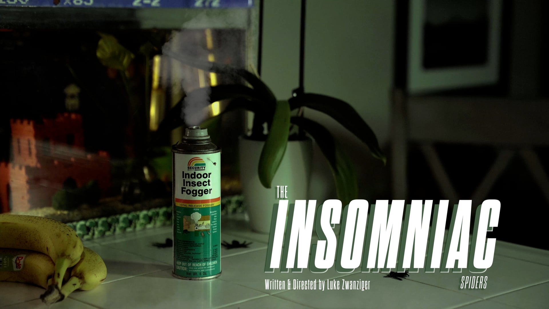 The Insomniac: Spiders