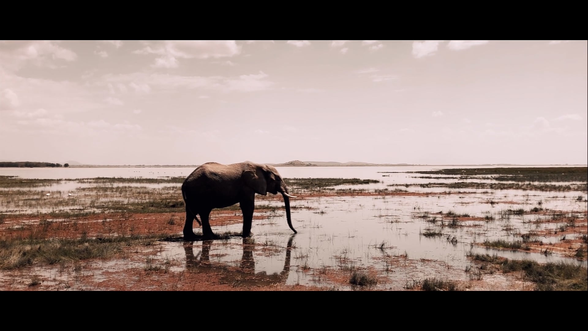 Une semaine au Kenya - safari photo