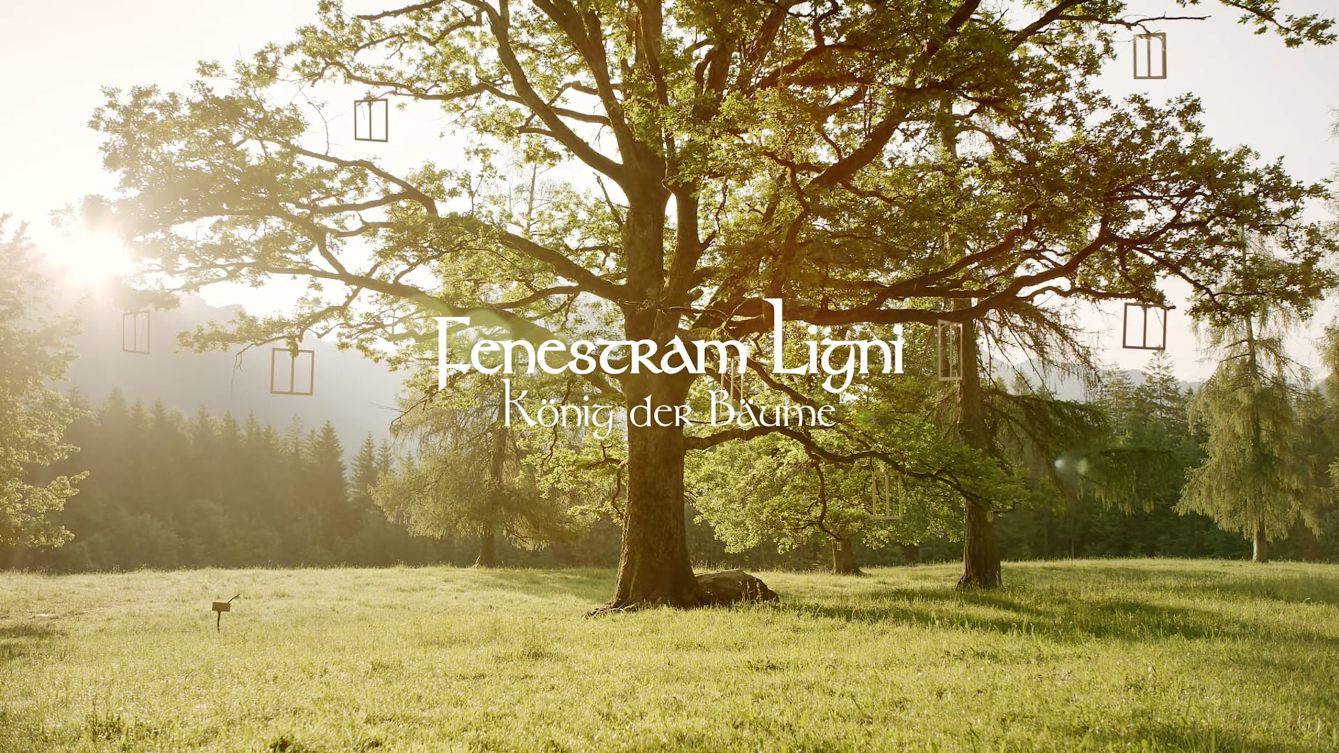 Fensetram Ligni