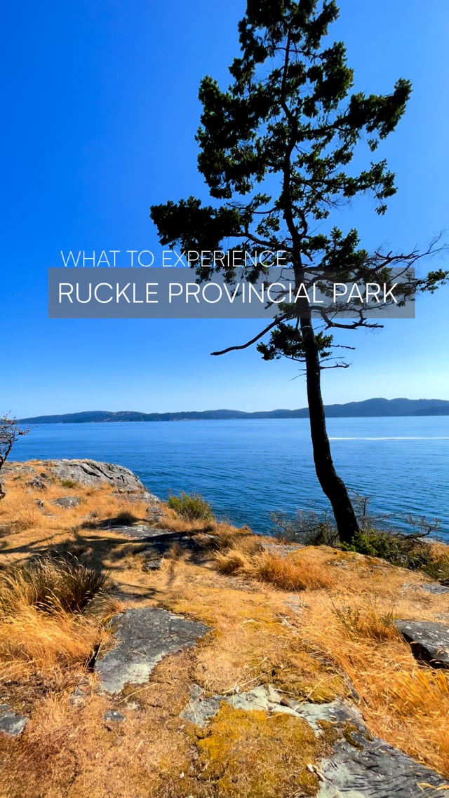 Where to hike on Saltspring Island - BC - Canada - Ruckle Provincial Park