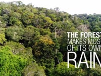 Amazonia 80% by 2025 - short