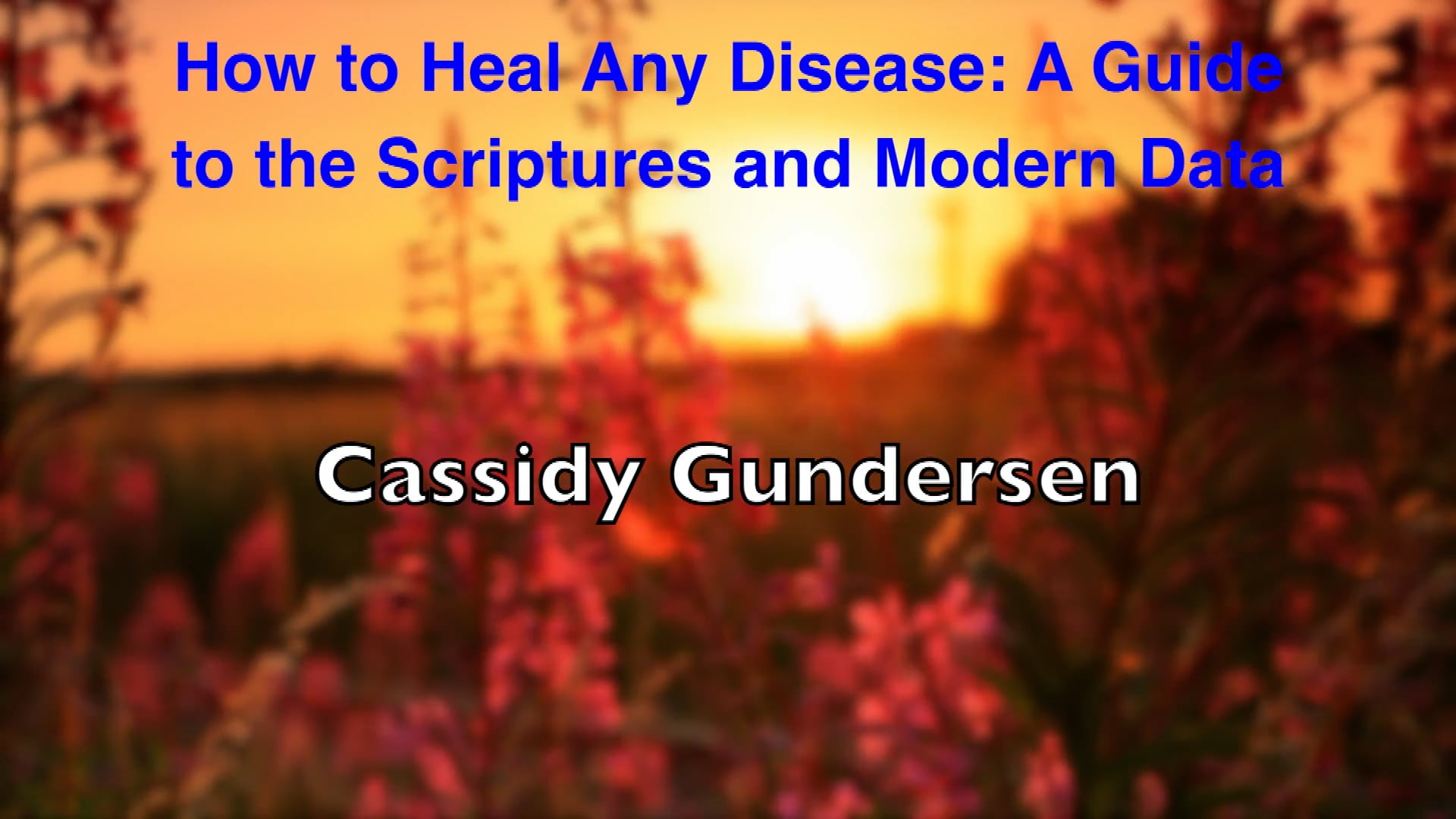 Cassidy Gundersen – How to Heal Any Disease_ A Guide to the Scriptures and Modern Data