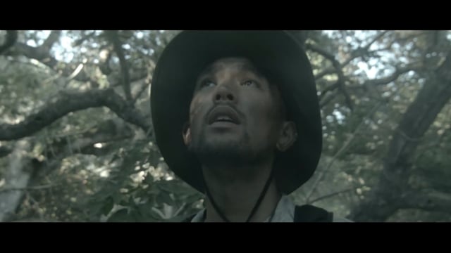 Cicadas | Short Film