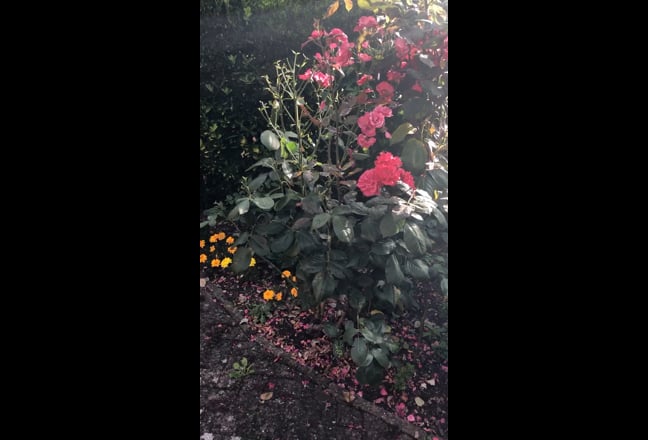  Double Room Close to Mhead Town & Train Station Main Photo