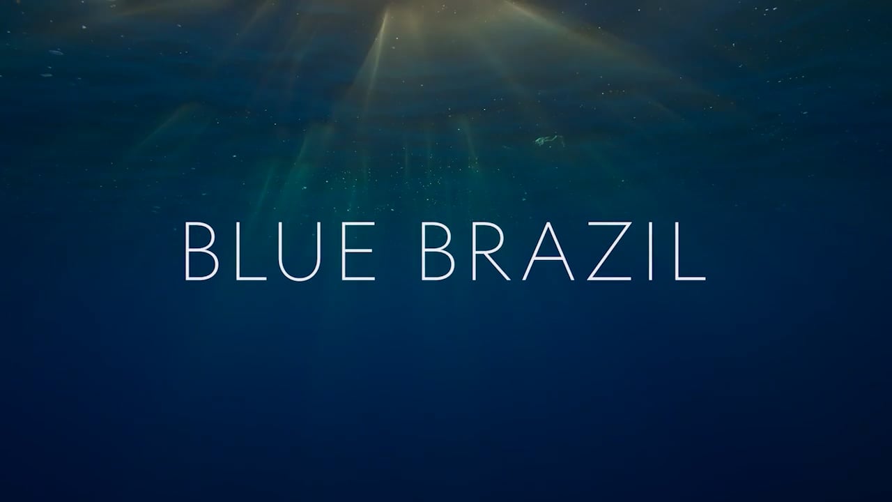 Blue Brazil - trailer