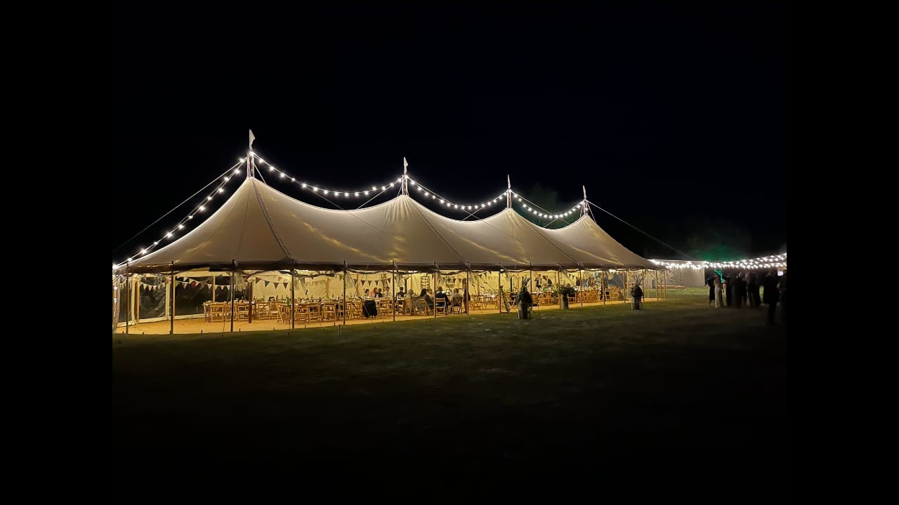 Surprise Wedding Fireworks