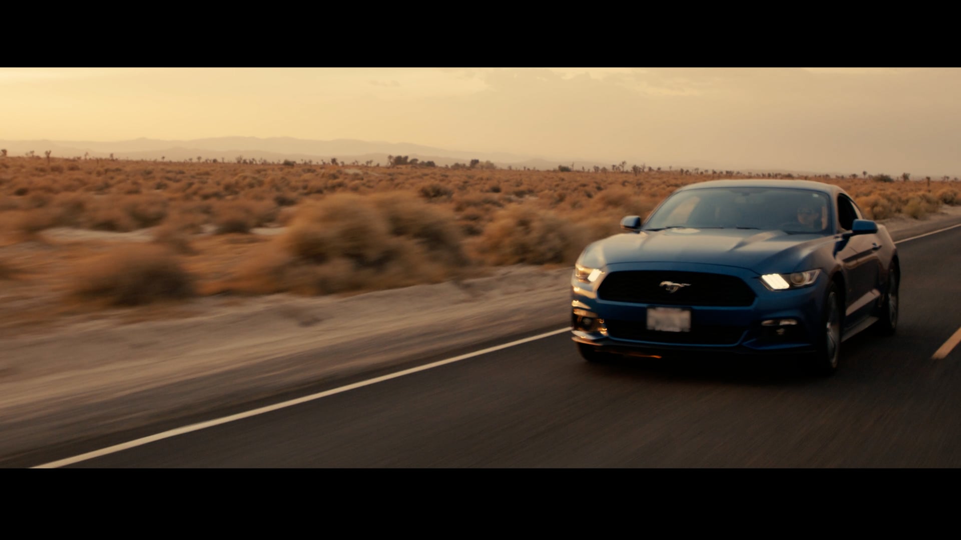 Go Further Mustang