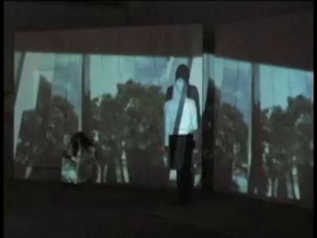 SIMULACRO - Proyección galería 9-80, 2007
