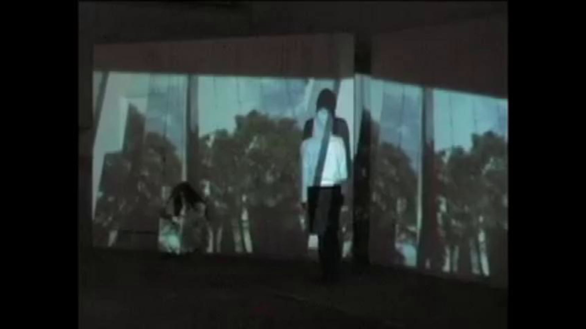 SIMULACRO - Proyección galería 9-80, 2007