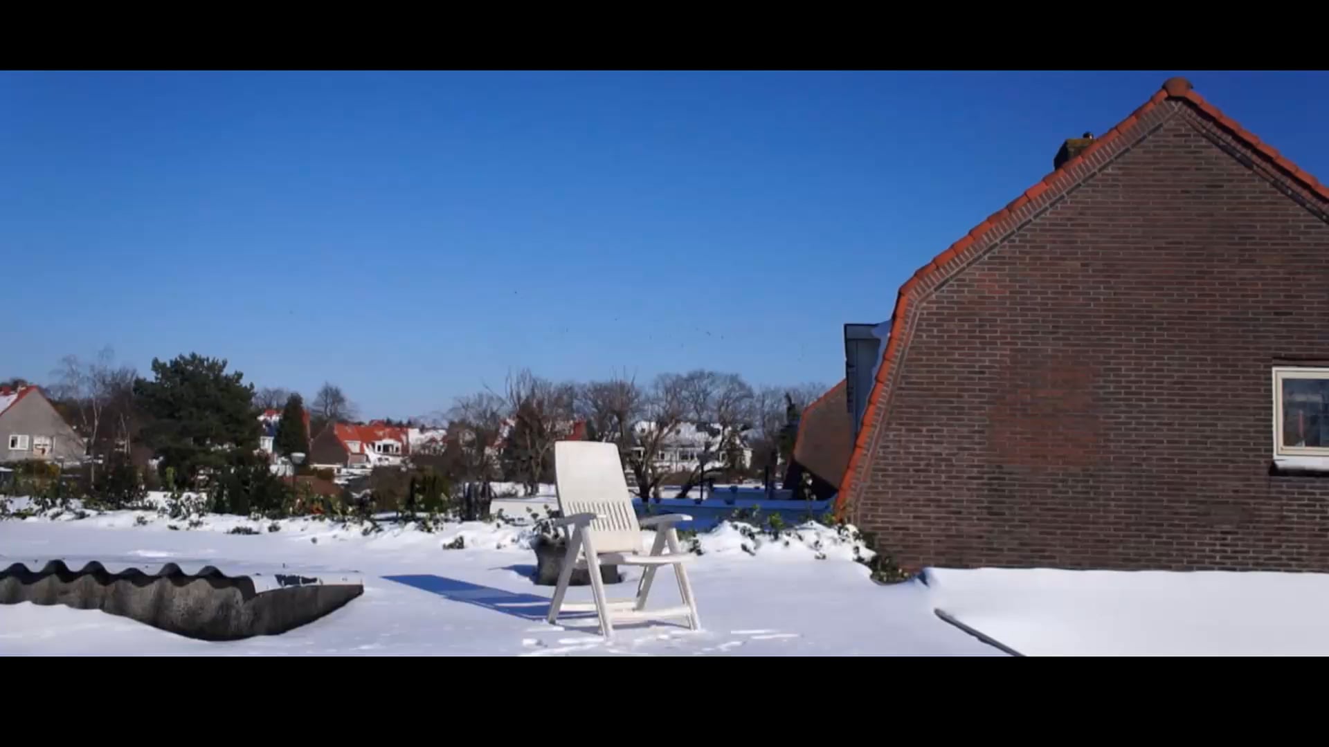 To Belong | Pertencer 2021