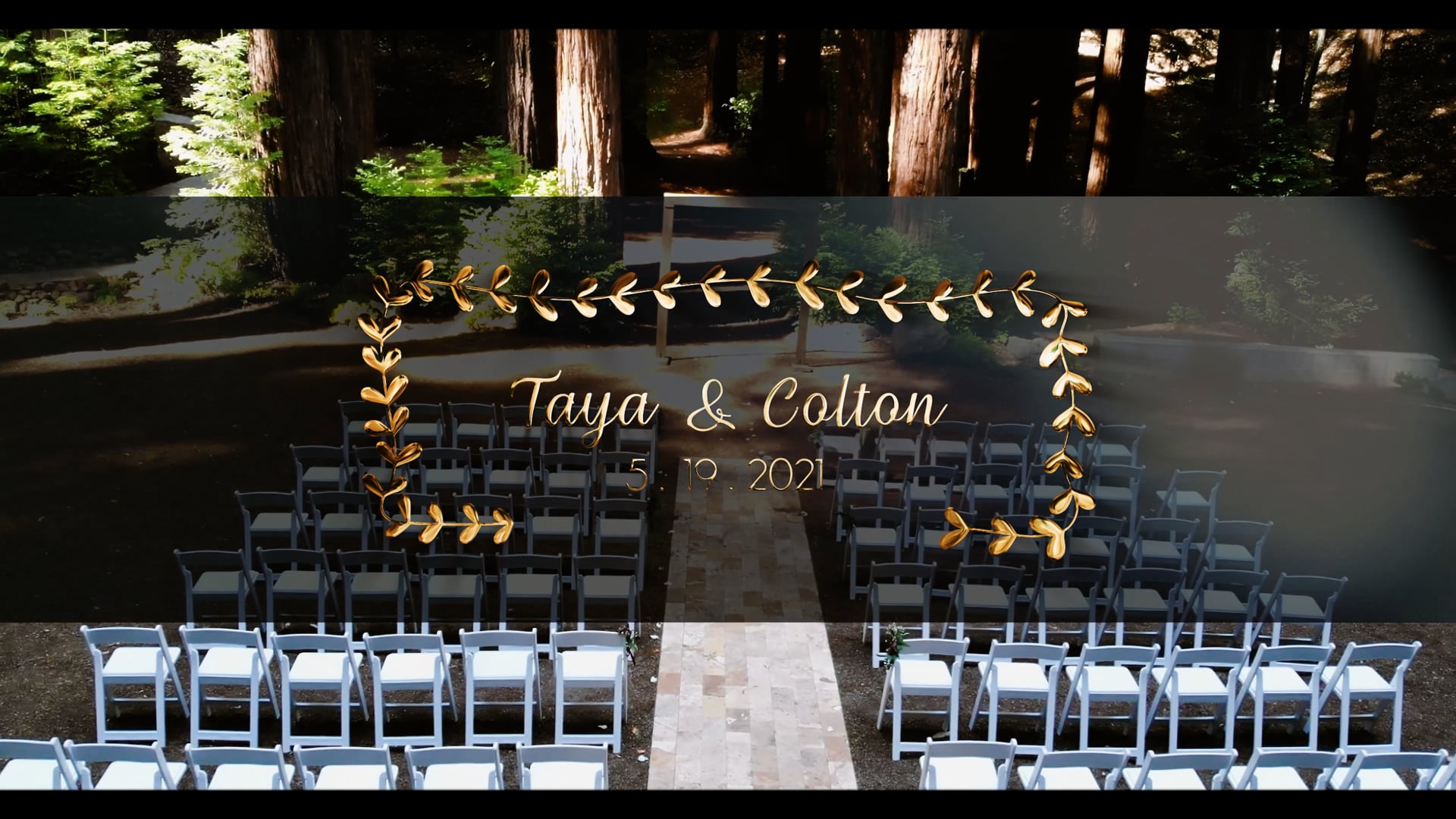 Redwoods Wedding | Cinematic Highlight Reel