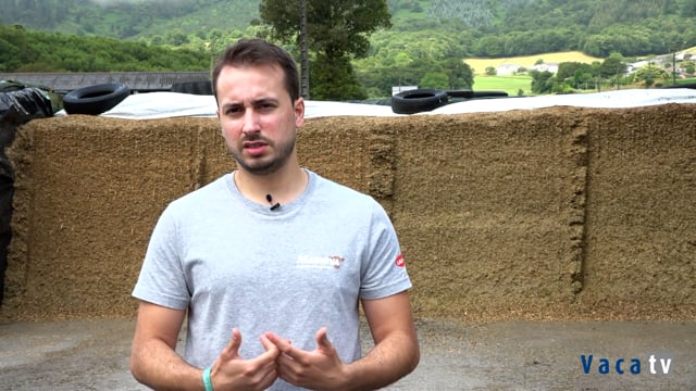 Experiencia con OxySeal en Casanova Holstein