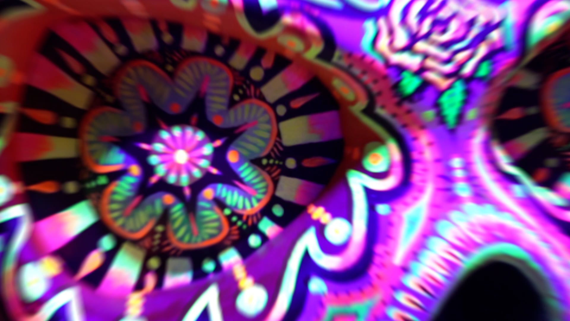 Tonteria Opening Party Event Video