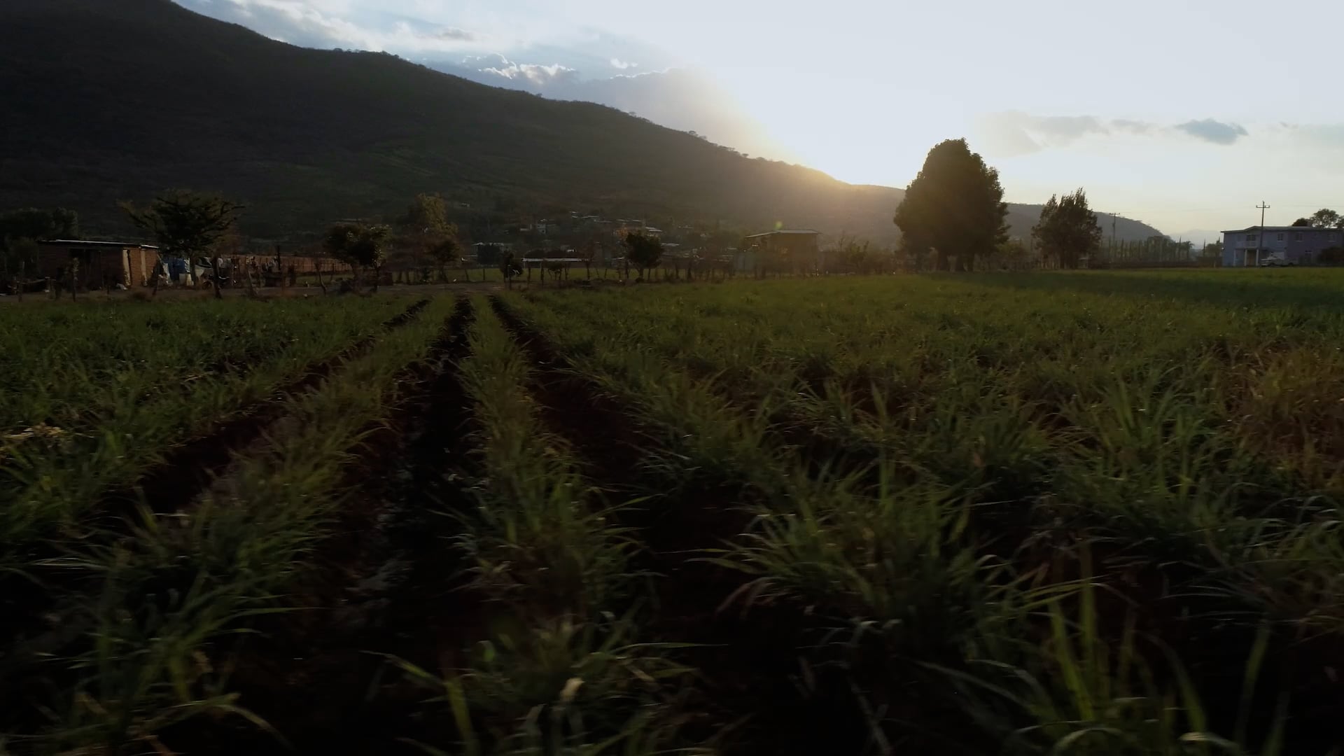 Esto es Cotija y Estás en tu Casa