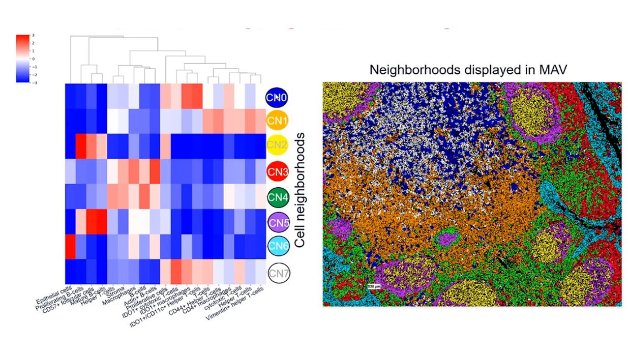 CODEX with Seurat: A High-Dimensional Approach to Unlocking Spatial Insights on Vimeo