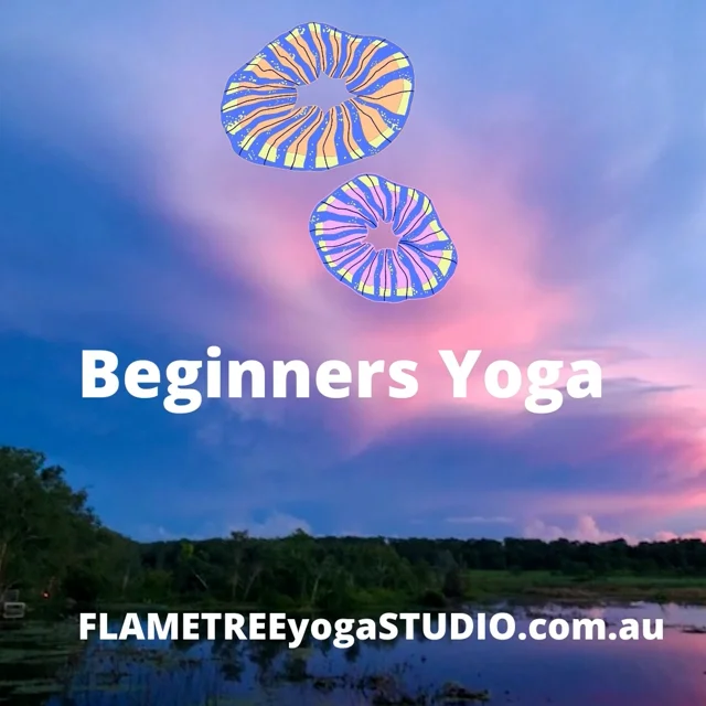 Best Beginners Yoga. Online & In-Studio Unlimited. Videos too.