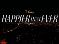 Animation Transformation