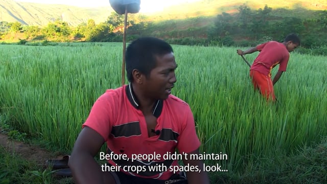No Rice Without Rain - ePOP Video