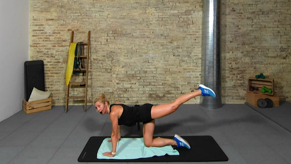 Tonifica el cuerpo (III)