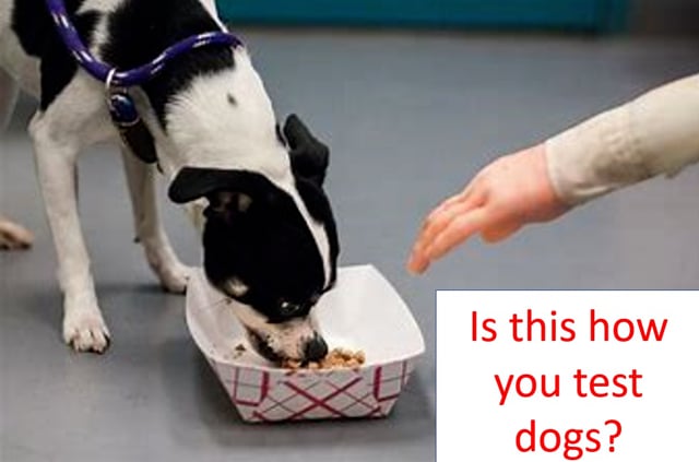 Testing for Temperament