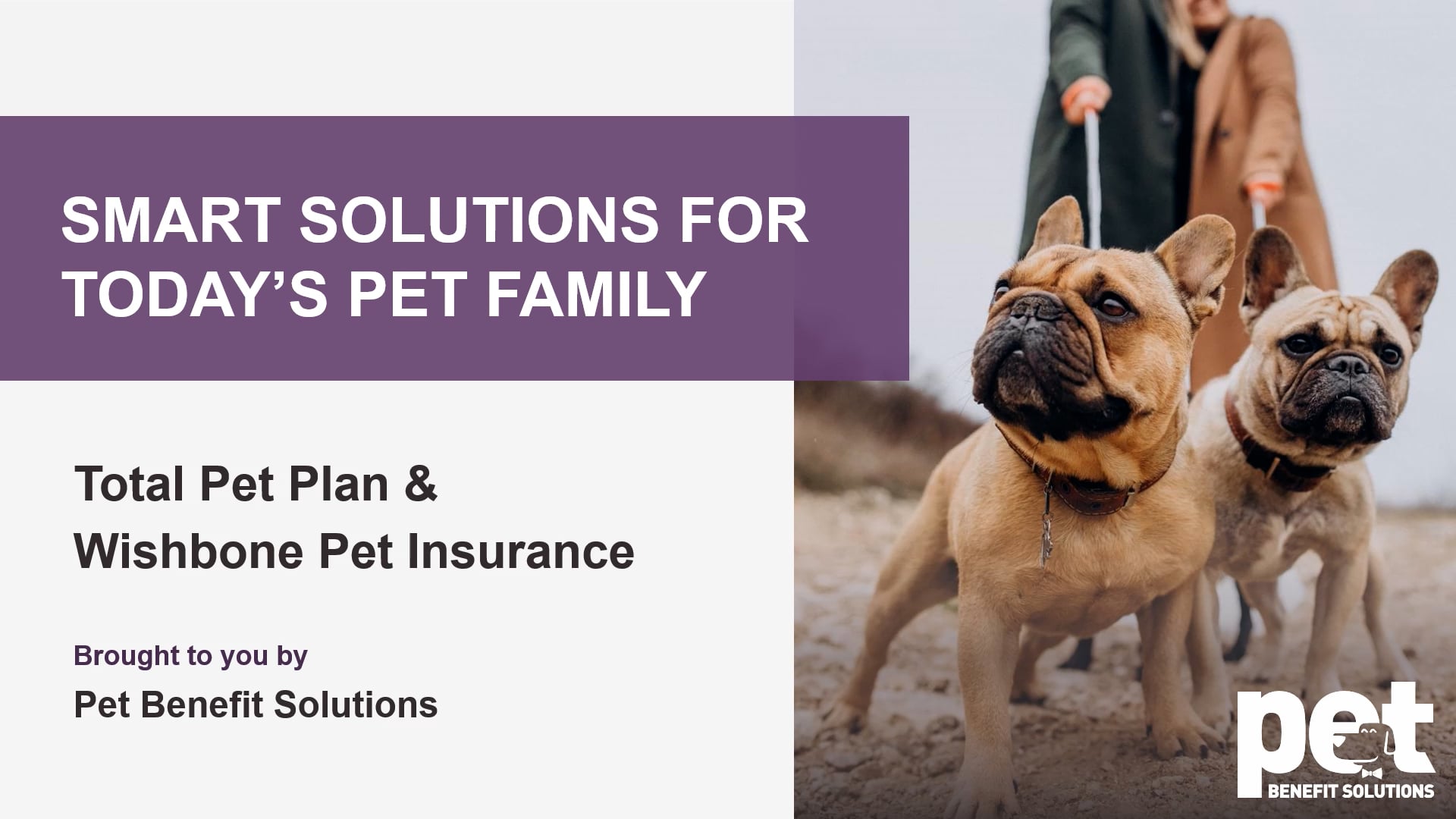 total-pet-plan-and-wishbone-full-presentation-generic1-mp4-on-vimeo