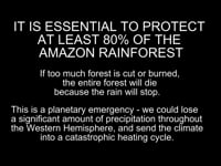 Amazonia 80% by 2025