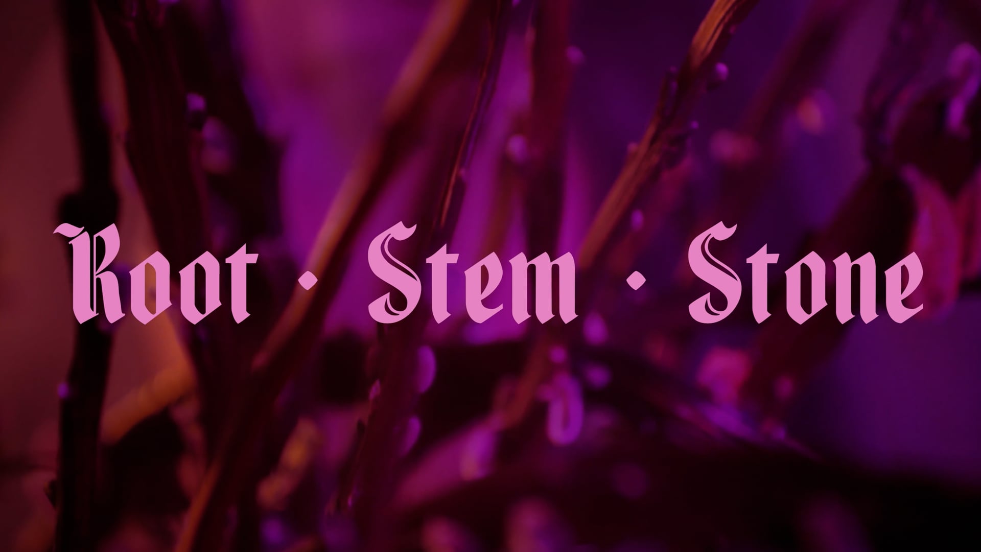 HOUSE OF IDOL HANDS - 'Root • Stem • Stone'
