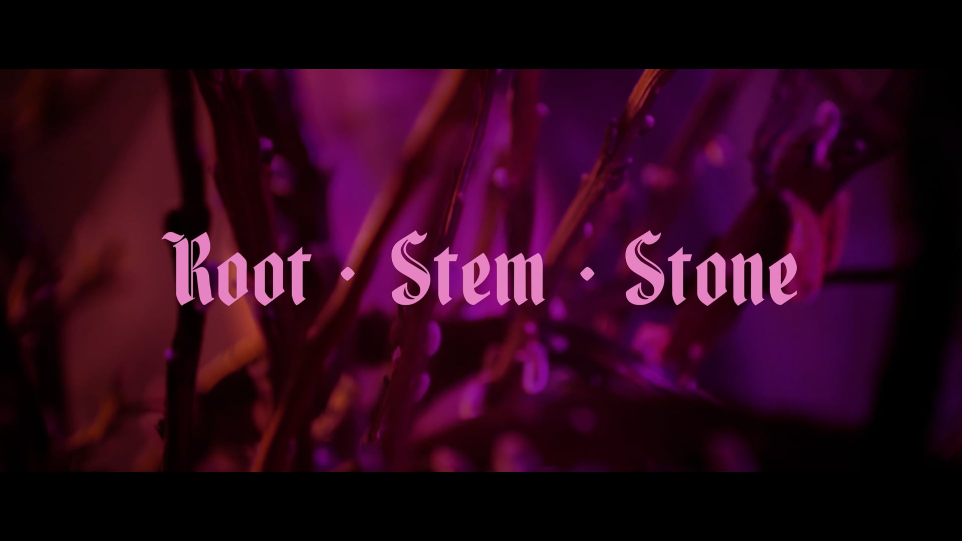 HOUSE OF IDOL HANDS - 'Root • Stem • Stone'