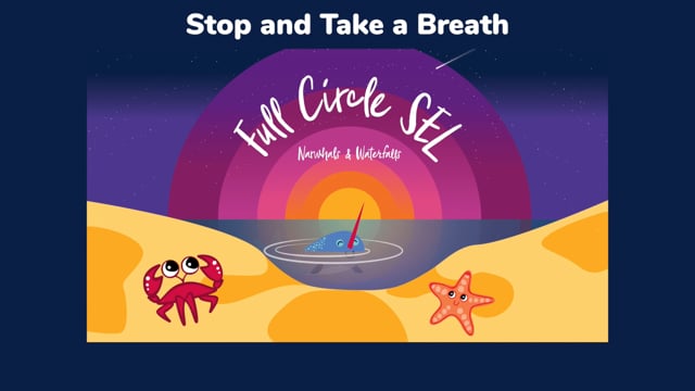 Related Embedded Video Item Thumbnail